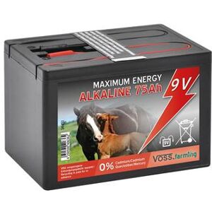 Batteria per recinto elettrico 9 V 