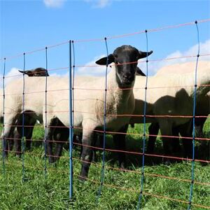 AKO Rete per pecore AKO TitanNet Premium, 50 m, 90 cm, 14 pali rinforzati, 2 punte, montanti rigidi, blu-arancione