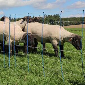 AKO Rete per pecore AKO TitanNet Premium, 50m, 90 cm, 14 pali rinforzati, 2 punte, montanti rigidi, blu-arancione