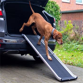 Rampa pieghevole per cani - Accessorio per il trasporto dei cani, in alluminio