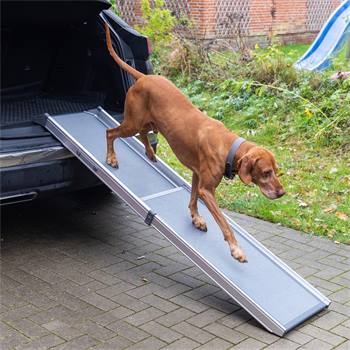 Rampa telescopica per cani - Accessorio per il trasporto dei cani, in alluminio