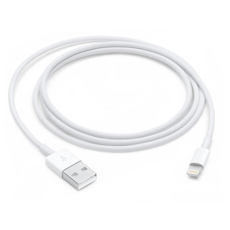 Accessori Originali Apple Cavo Dati Da Lightning A Usb Iphone 5s Sincronizza Carica (Blister)