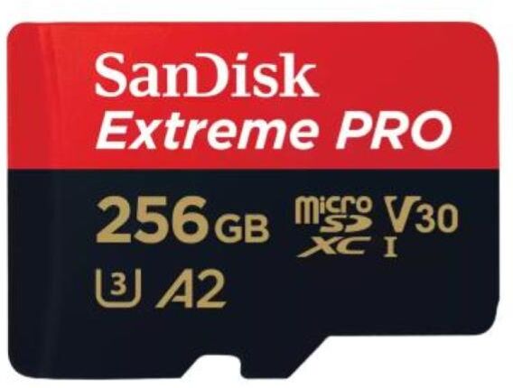 SanDisk Extreme Pro Scheda Di Memoria Flash 256gb A2 - Video Class V30 - Uhs-I U3 - Class10 Uhs-I Microsdxc