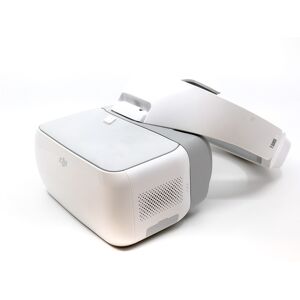 DJI Goggles (Condition: Excellent)