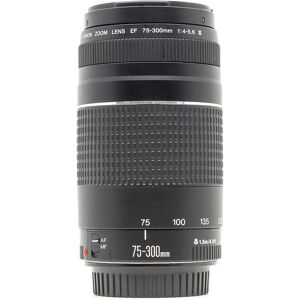 Canon EF 75-300mm f/4-5.6 III (Condition: Excellent)