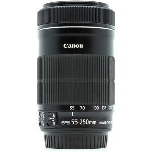 Canon EF-S 55-250mm f/4-5.6 IS STM (Condition: Excellent)