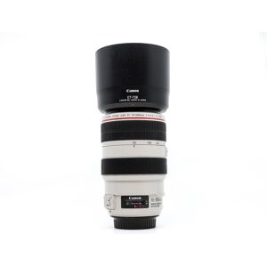 Canon EF 70-300mm f/4-5.6 L IS USM (Condition: Excellent)