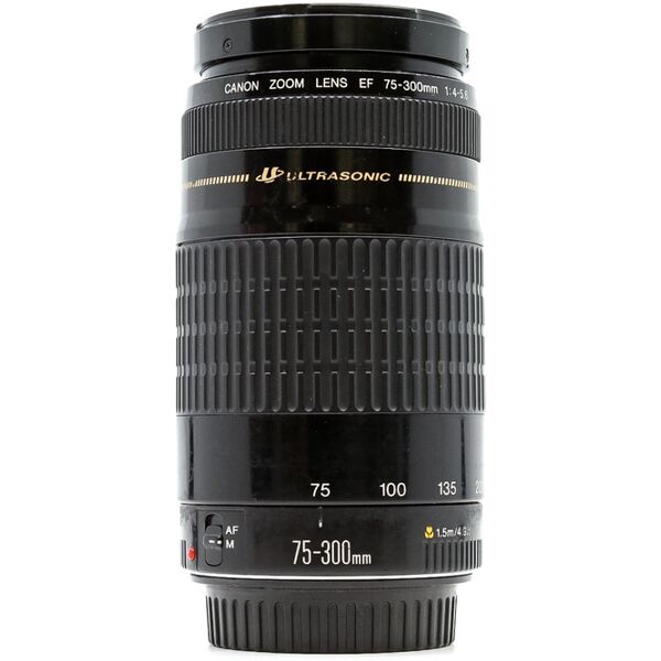 canon ef 75-300mm f/4-5.6 (condition: well used)