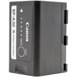 Canon BP-A30 Battery (Condition: Excellent)