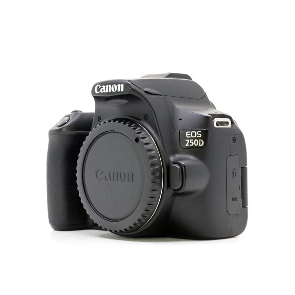 canon eos 250d (condition: excellent)