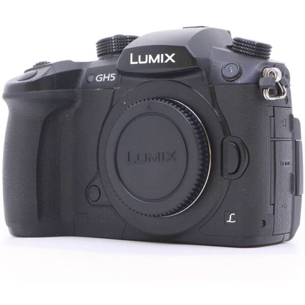 panasonic lumix dc-gh5 (condition: excellent)