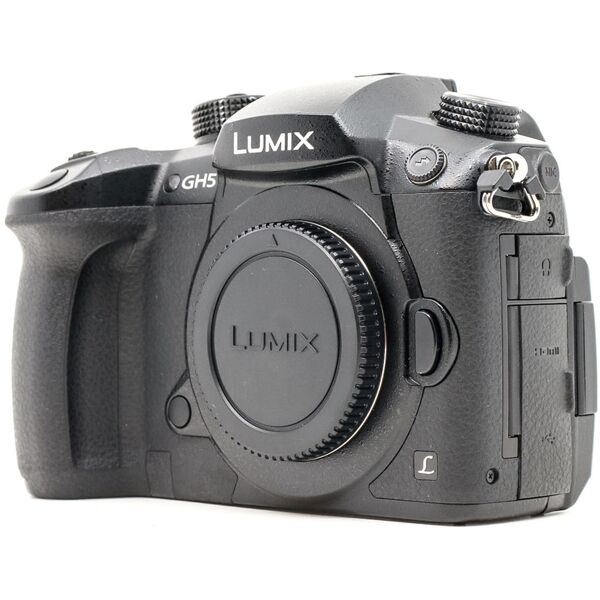 panasonic lumix dc-gh5 (condition: excellent)