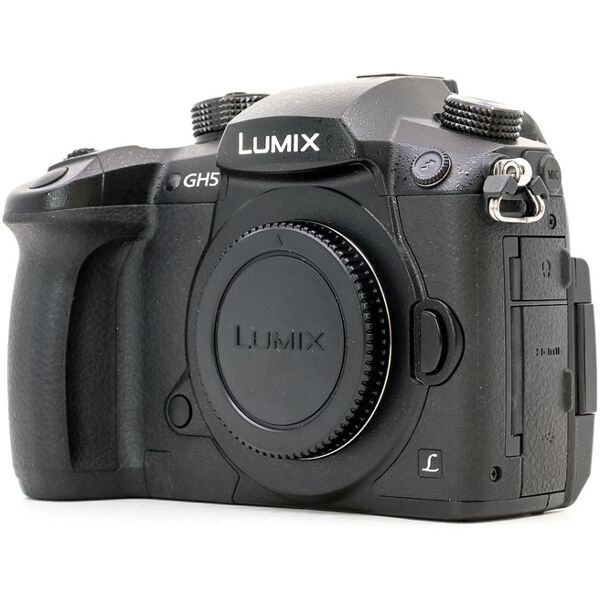 panasonic lumix dc-gh5 (condition: excellent)