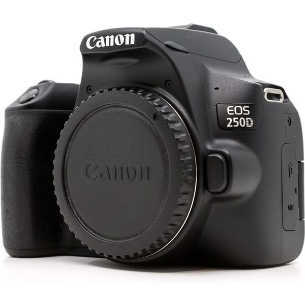 canon eos 250d (condition: excellent)