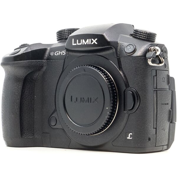 panasonic lumix dc-gh5 (condition: good)