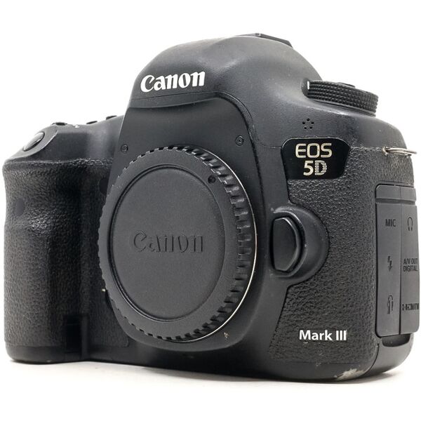 canon eos 5d mark iii (condition: well used)