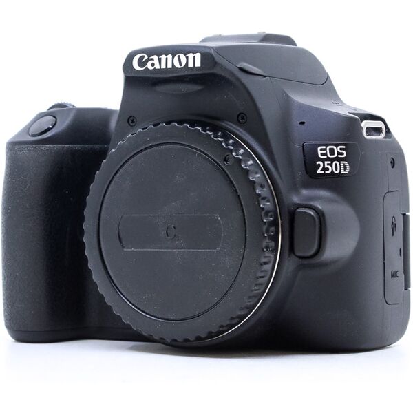 canon eos 250d (condition: excellent)