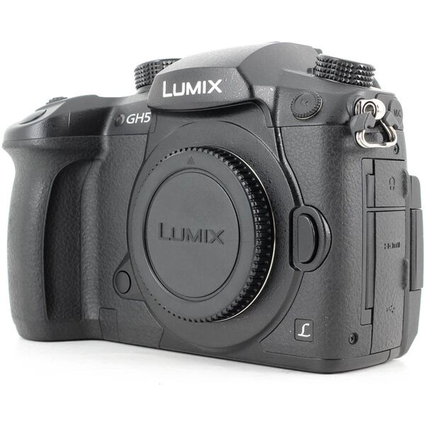 panasonic lumix dc-gh5 (condition: s/r)