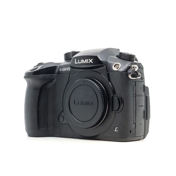 panasonic lumix dc-gh5 (condition: excellent)