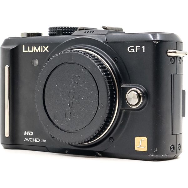 panasonic lumix dmc-gf1 (condition: well used)