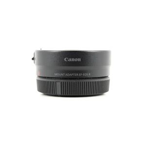 Canon Mount Adapter EF-EOS R (Condition: Excellent)