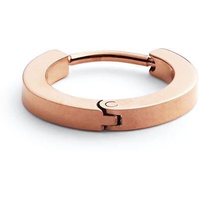 Daniel Wellington Mono Orecchino Donna Gioiello Micro Earrings DW00400862 Daniel Wellington Mono Orecchino Donna Gioiello Micro Earrings DW00400862
