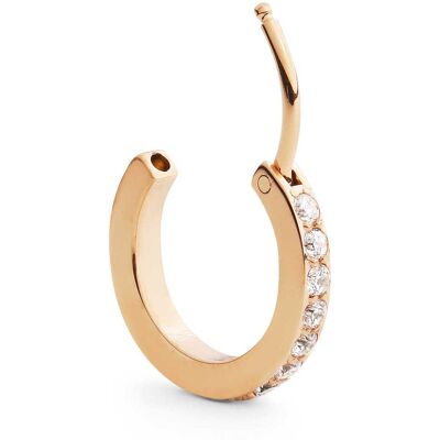 Daniel Wellington Mono Orecchino Donna Gioiello Micro Earrings DW00400871 Daniel Wellington Mono Orecchino Donna Gioiello Micro Earrings DW00400871