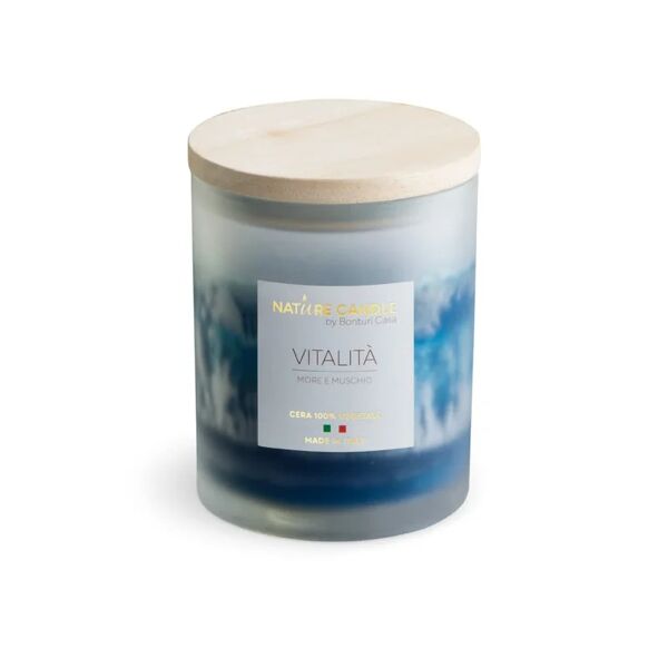 leroy merlin nature candle candela profumata 100% cera vegetale - linea amati 200g vitalità - more e muschio