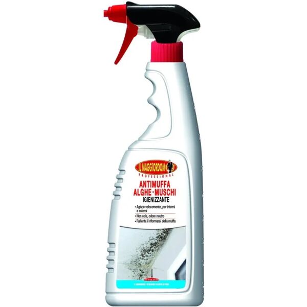 leroy merlin pulitore antimuffa alghe-muschi 0.75 l