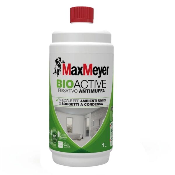 maxmeyer fissativo per pittura  antimuffa bioactive base acqua antimuffa per parete a secco 1 l