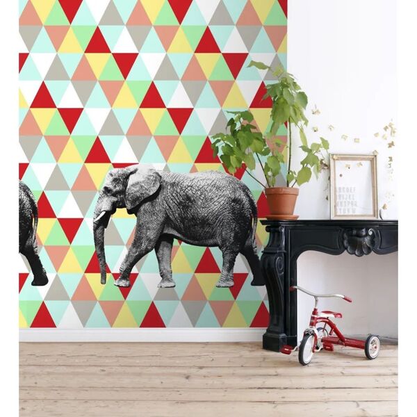 esta fotomurale  elefante colore multicolor, 186 x 280 cm