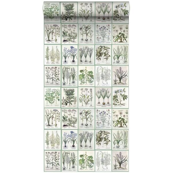 leroy merlin carta da parati libro verde, bianco, 53 cm x 9 m