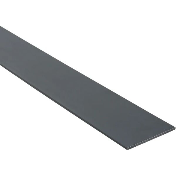 standers profilo piatto  in pvc grigio opaco l 2.6 m 2x50 mm