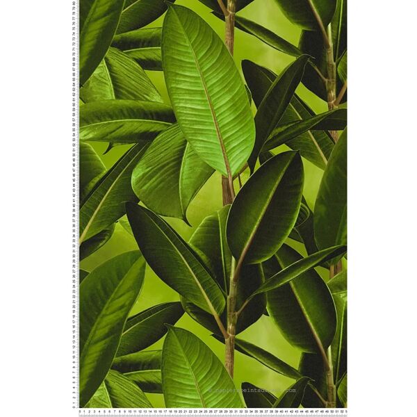 as creation carta da parati foglie grandi verde - 53 cm x 10,05 m - a.s. création