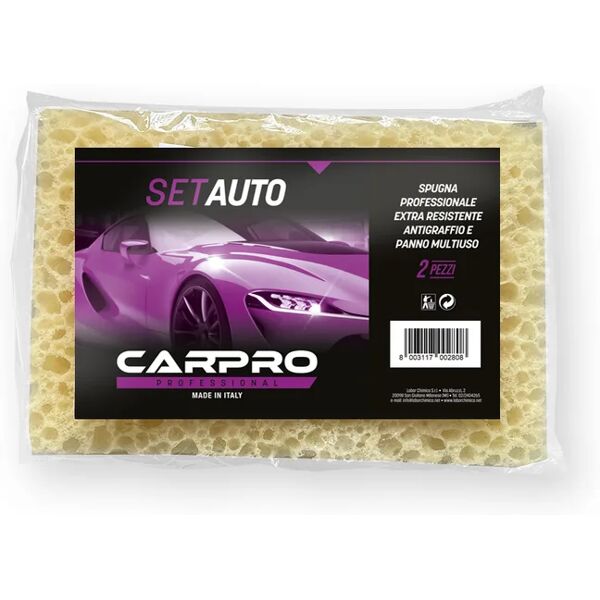 leroy merlin strofinaccio carpro set auto 2 pezzi