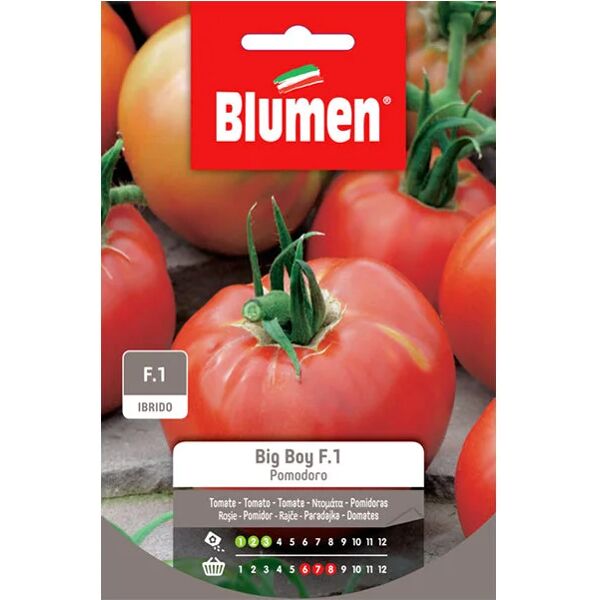 blumen semi pomodoro big boy f1