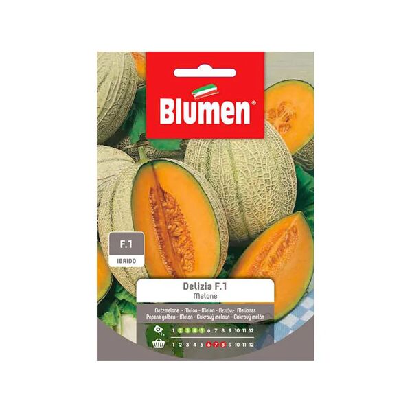 blumen semi melone delizia f1