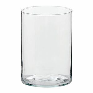 Leroy Merlin Vaso decorativo vaso in vetro trasparente H 12 cm, Ø 19 cm