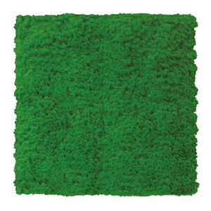 TENAX Parete verde artificiale Muschio Divy 3D in polietilene, verde H 1 m x L 1 m