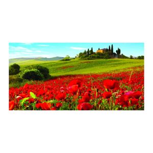 Inspire Stampa su tela Campagna Toscana 190x90 cm