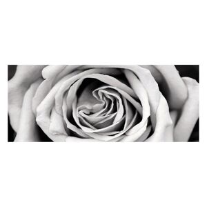 Inspire Stampa su vetro Black&White Rose 125x50 cm