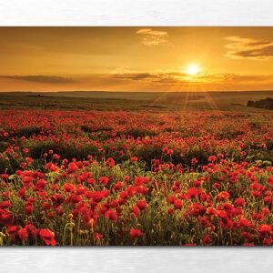 Inspire Stampa incorniciata su tela Campagna 136 x 76 cm