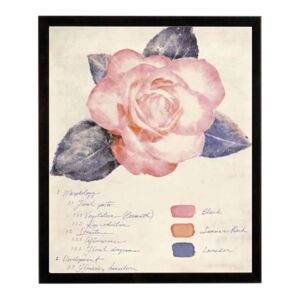 Leroy Merlin Stampa incorniciata Botan Study I 24.7 x 30.7 cm