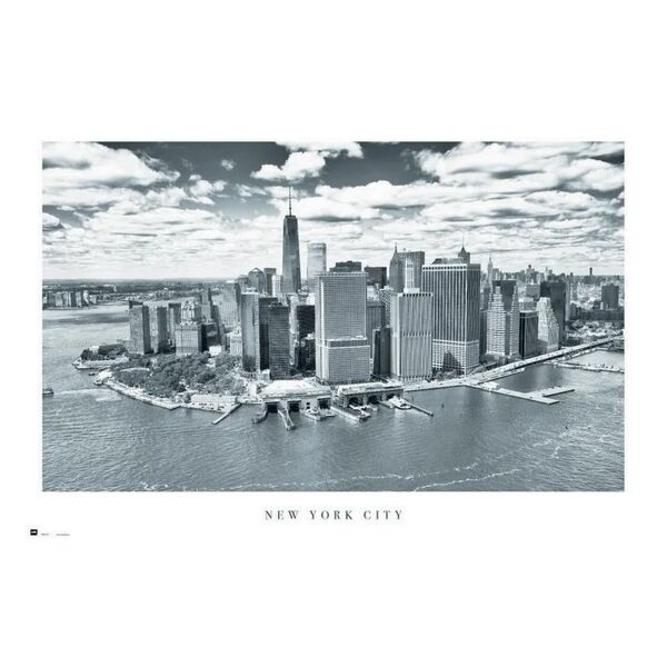 leroy merlin poster new york city 91.5x61 cm