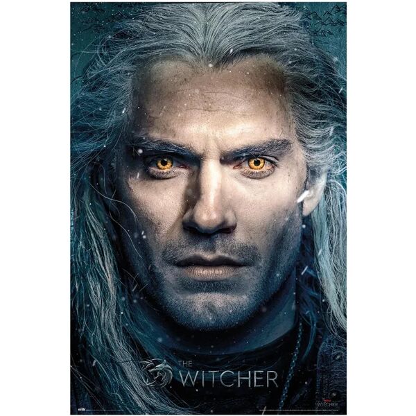 leroy merlin poster the witcher geralt 61x91.5 cm