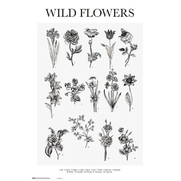 leroy merlin poster wild flowers 61x91.5 cm