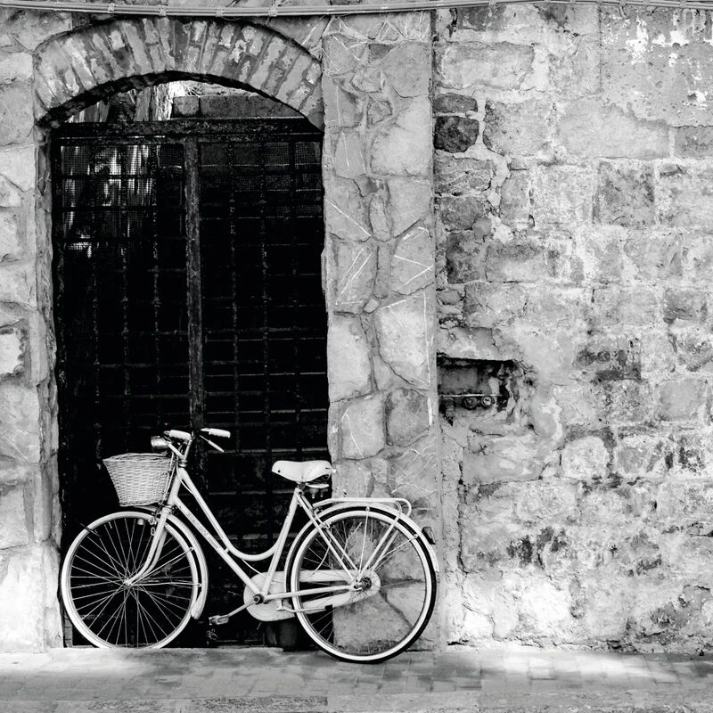artis stampa su tela bicicletta 45x45 cm