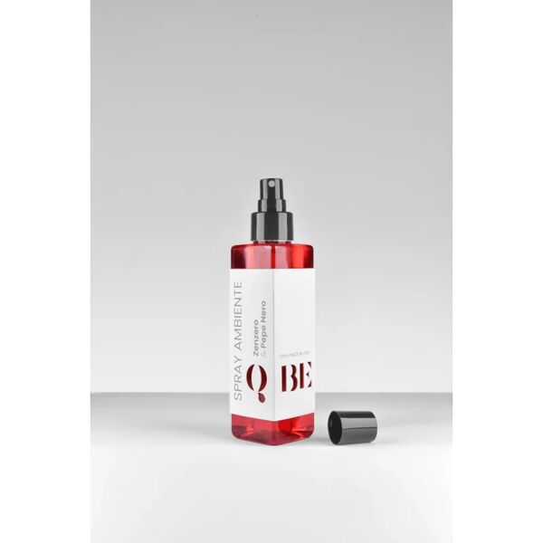 leroy merlin deodorante per la casa zenzero & pepe nero 150 ml