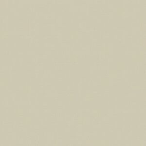AZNAR Tessuto al metro Mimos 89 beige ,tinta unita 280 cm