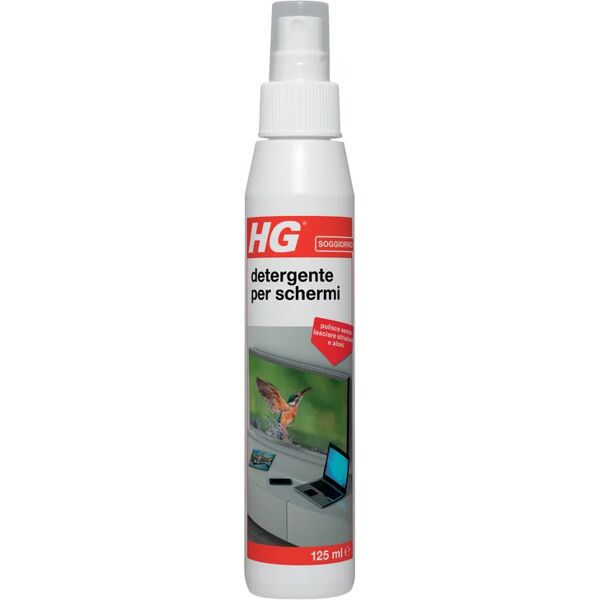 hg detergente e sgrassatore  detergente per schermi 0,125 l